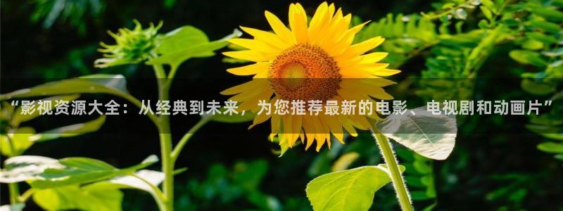 奇优影视电视剧你是我的命中注定