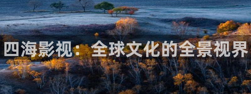 奇优影院理论片第一页